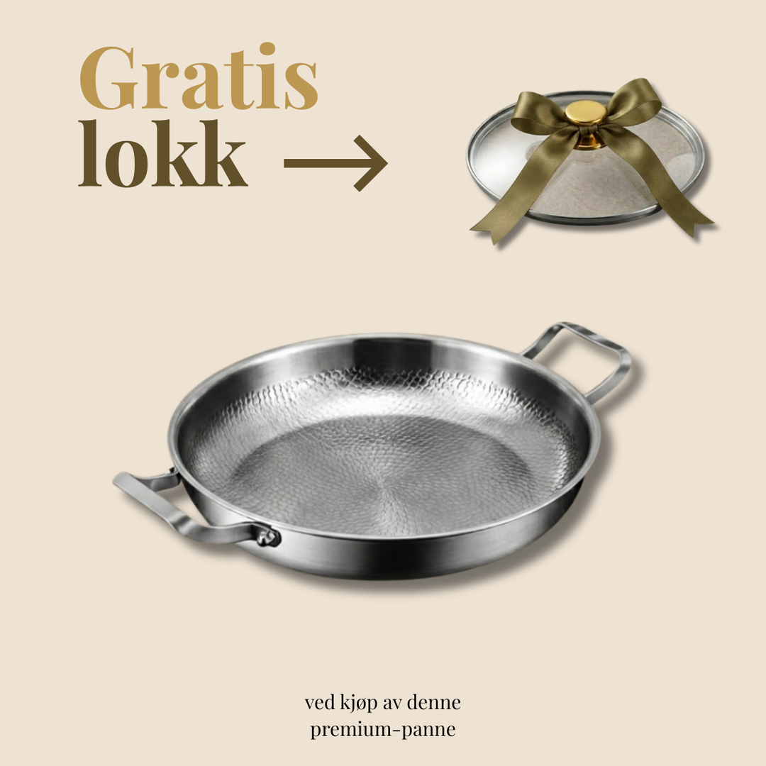 Titan Tvåhandtags Panna